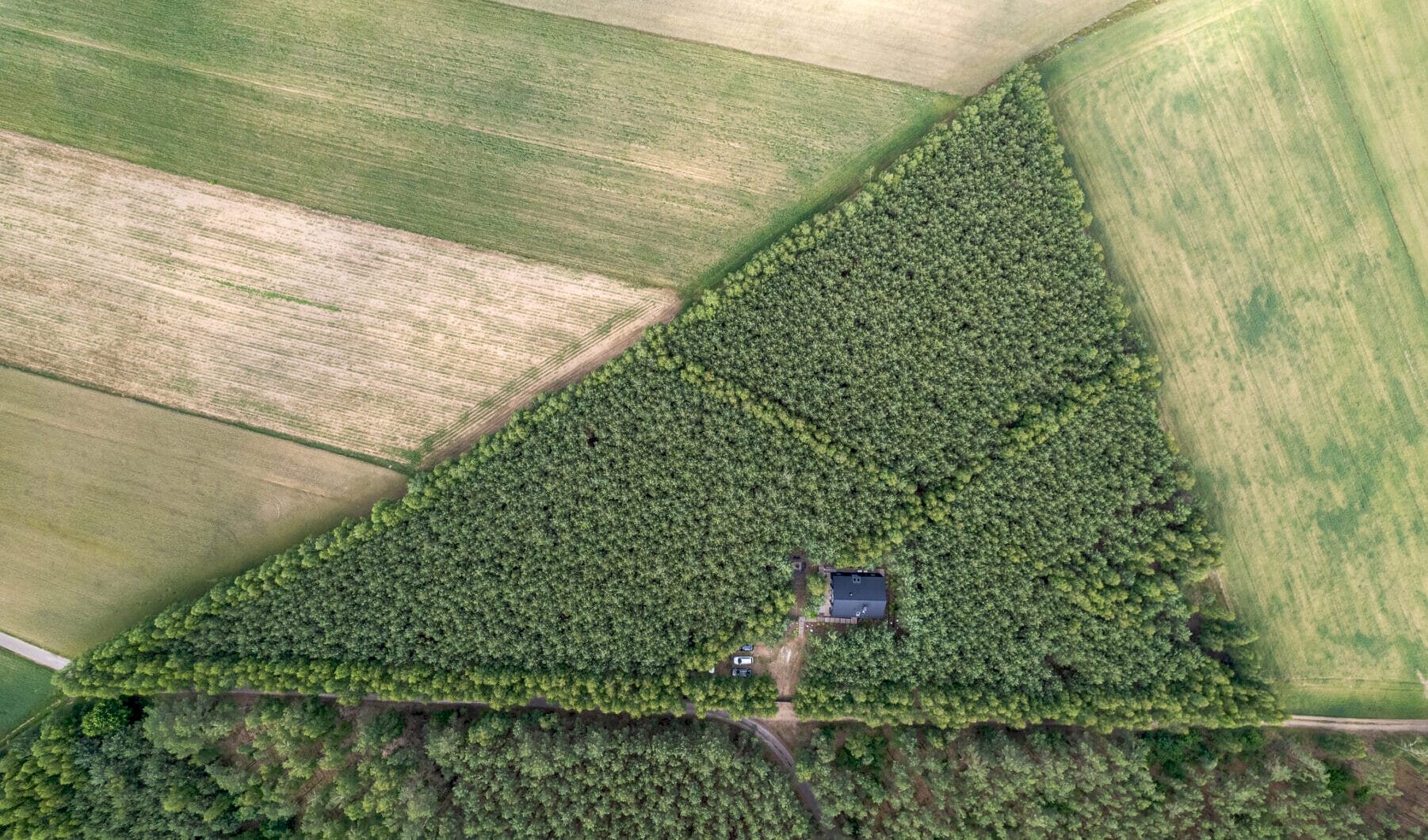 Dom na sprzedaż - Maków Mazowiecki, Vilea Property Butique 1