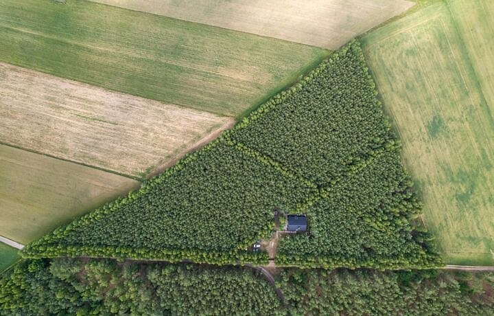 Dom na sprzedaż - Maków Mazowiecki, Vilea Property Butique 1